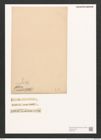 Surirella patella Kuetz. (de-Toni-Nr.: Genus 53, Species 2262) Zeichnungen Sammlung Grunow (NHMW-BOT-W0372767)
